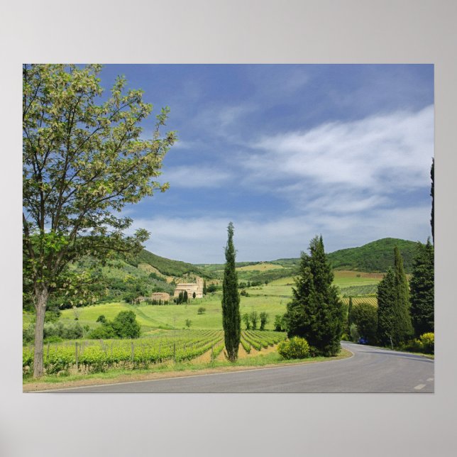 Póster Carretera rural que se curva entre cipreses en (Frente)
