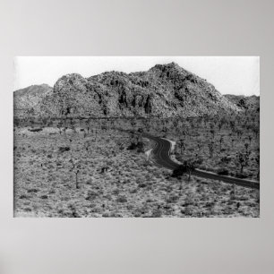 Póster Carretera solitaria