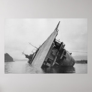 Póster Carrier Amagi