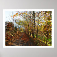 Carril de Jersey en otoño