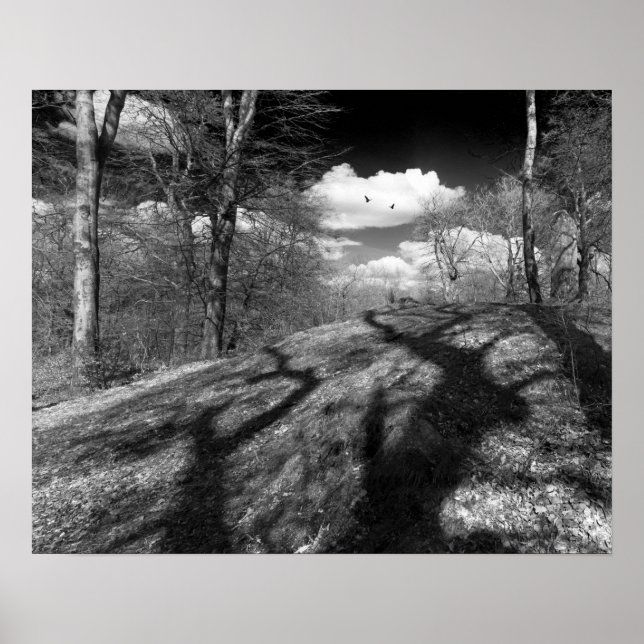 Póster Carrión. (Frente)