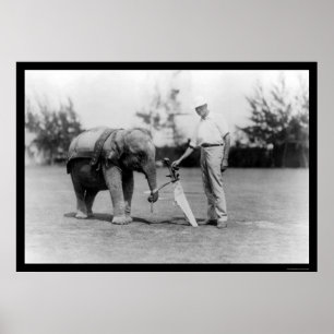 Póster Carrito del golfista y del elefante en Miami, FL