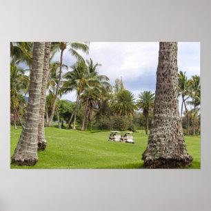 Póster Carritos de Golf en Poipu Bay, Kauai, Hawái