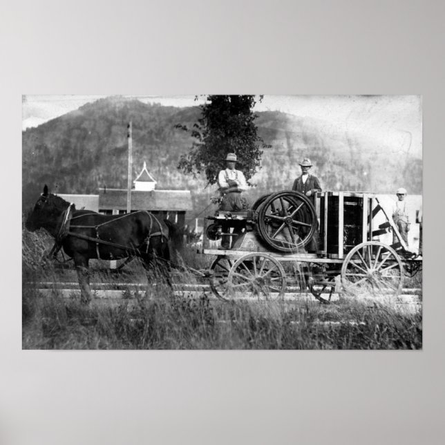 Póster Carro de caballo dibujado (Frente)
