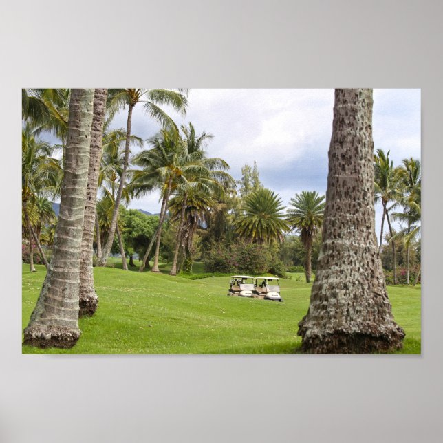 Póster Carros de golf en la bahía de Poipu, Kauai, Hawaii (Frente)