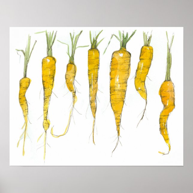 Póster Carrots Garden Vegetable Watercolor Ink Drawing (Frente)