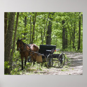 Póster Carruaje de trineo de caballos atado en bosques