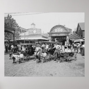 Póster Carruajes de cabra en Coney Island, 1910. Vintage