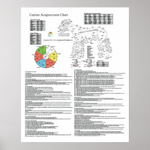 Póster Carta de la acupuntura del Acupressure del perro