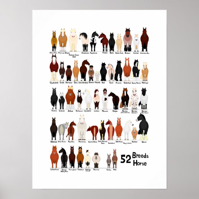 Póster carta de razas de 52 caballos (Frente)