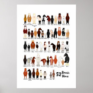 Póster carta de razas de 52 caballos
