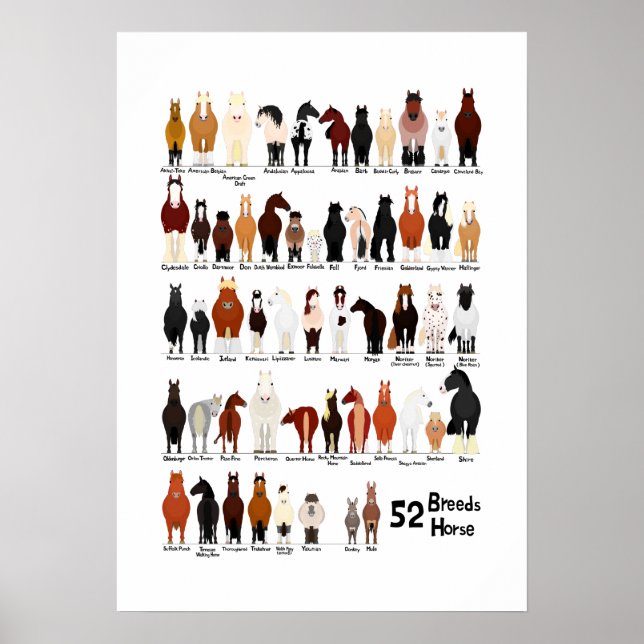 Póster carta de razas de 52 caballos (Frente)