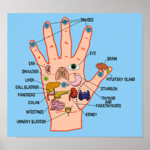 Póster Carta del Reflexology de la mano