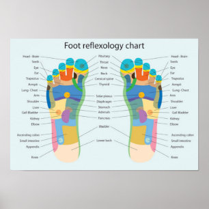 Póster Carta del Reflexology del pie