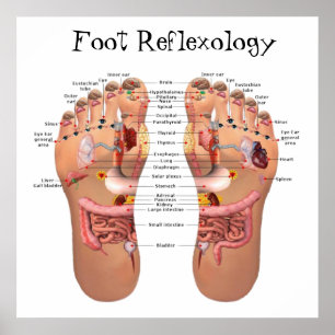 Póster Carta del Reflexology del pie