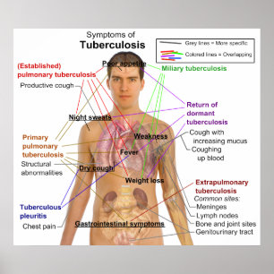 Póster Carta del síntoma de la tuberculosis en seres