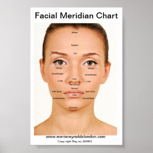 Póster Carta meridiana facial