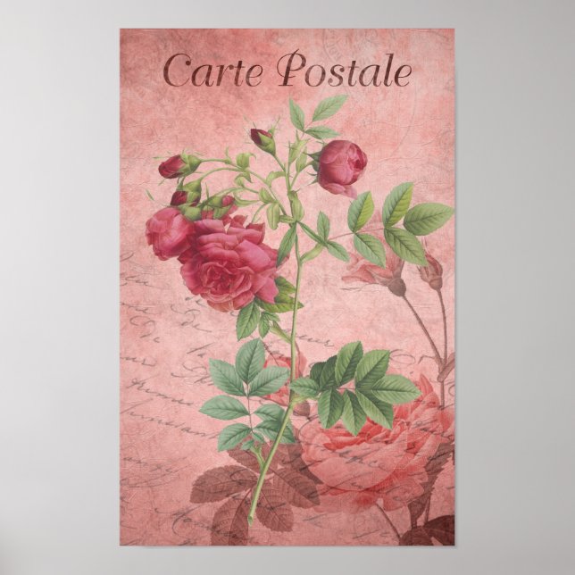 Póster Carte de época posale rosas profundas y rosas rosa (Frente)