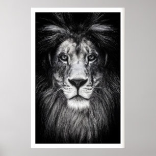 Póster Cartel