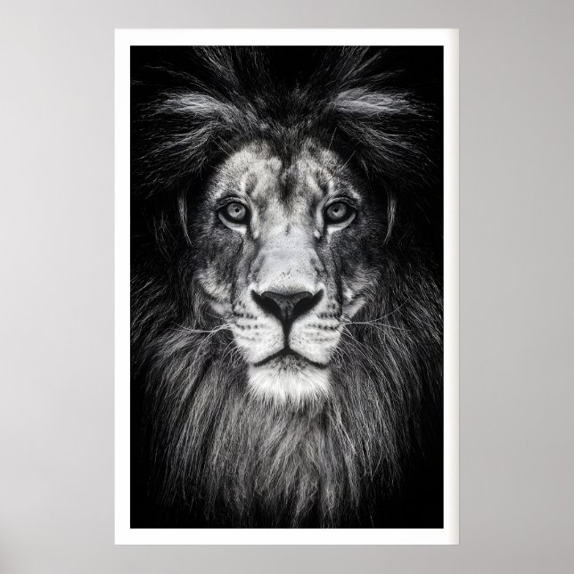 Póster Cartel (Frente)