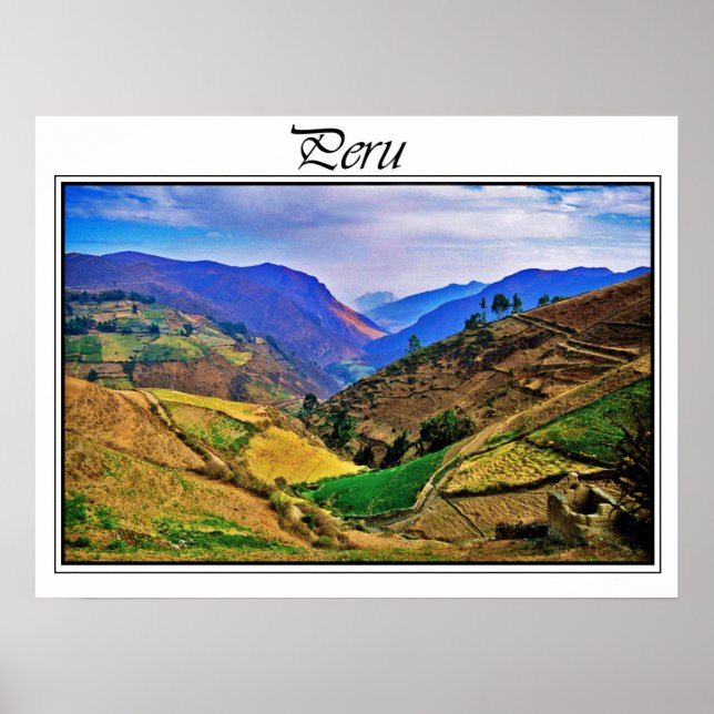 Póster Cartel (Frente)