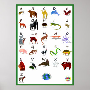 PÓSTER CARTEL ABC DE ANIMALES ALREDEDOR DEL MUNDO