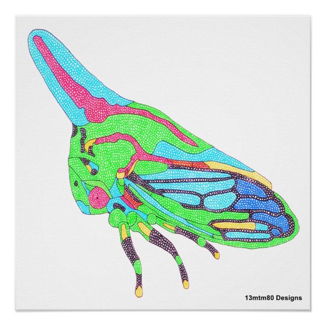 Póster Cartel (blanco) - Saltamontes de roble (Anverso)