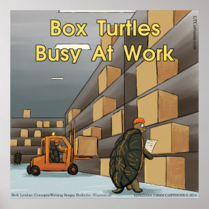 Póster Cartel Brillante de Tortuga de Caja Divertida