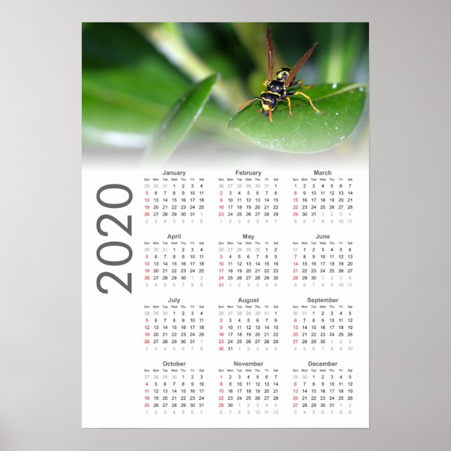 Póster Cartel Calendario de Avispas 2020 (Frente)