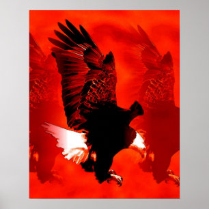 Póster Cartel de águila aterrizando - Carteles de águila
