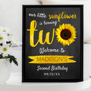 Póster Cartel de bienvenida del 2º cumpleaños de Little S