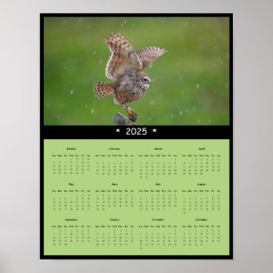 Póster Cartel de Calendario Parav壁 2025 Búho Minero