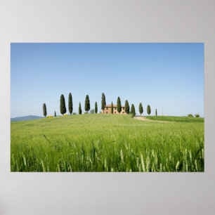 Póster Cartel de casa de campo en Toscana con cipreses