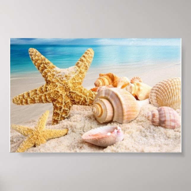 Póster Cartel de conchas de mar en la playa (Frente)