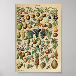 Póster Cartel de época Adolphe_Millot_fruits-pour_tous