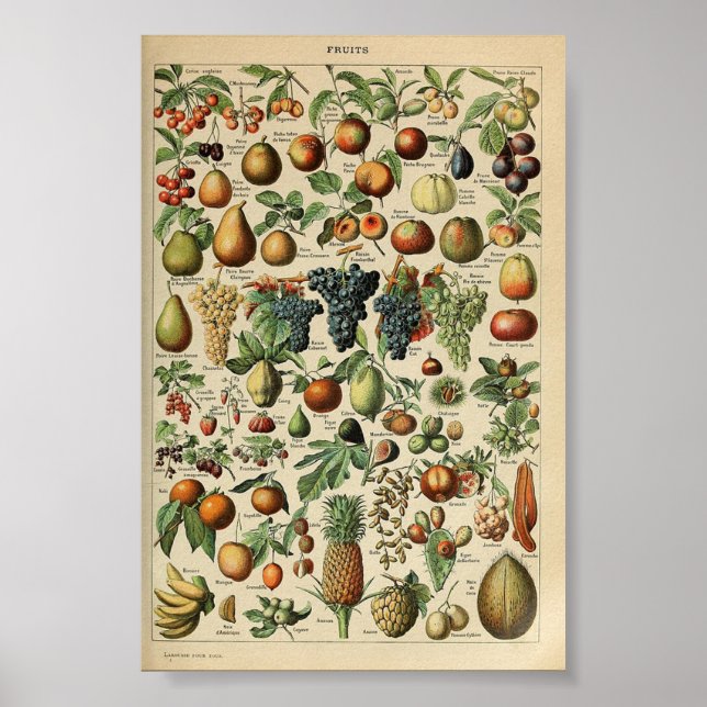Póster Cartel de época Adolphe_Millot_fruits-pour_tous (Frente)