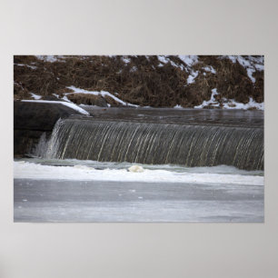 Póster Cartel de foto de cascada