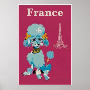 Póster Cartel de Francia