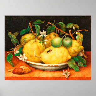 PÓSTER CARTEL DE FRUTAS DE TEMPORADA LIMONES Y FLORES BLA
