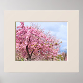 Póster Cartel de "Kawazu-Zakura" flor de cerezo