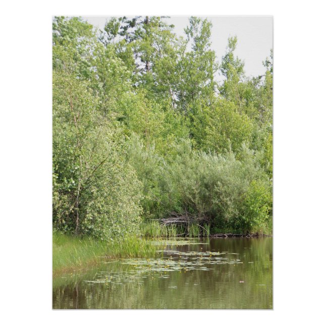 Póster Cartel de la laguna de Greenhill (Anverso)