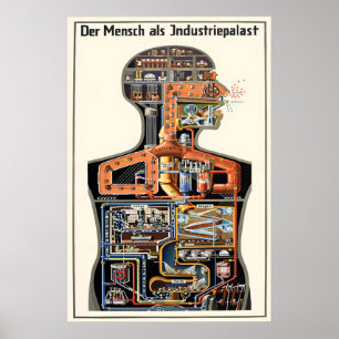Póster Cartel de la película Fritz Kahn 'El hombre como p