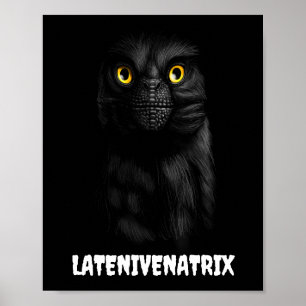Póster Cartel de Latenivenatrix Troodon Stenonychosaurus