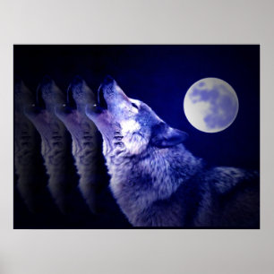 Póster Cartel de lobo aullando a la luna - Carteles de lo