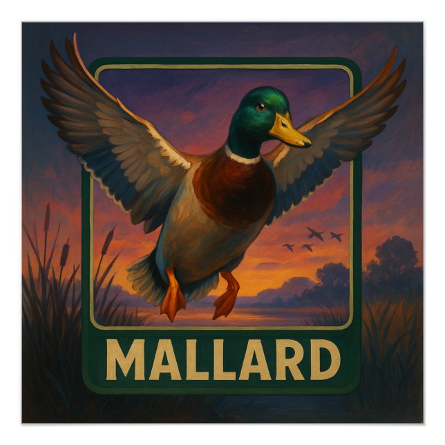 Póster Cartel de Mallard (Anverso)