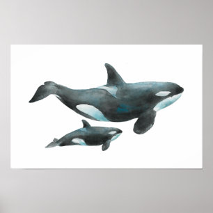 Póster Cartel de orca madre y bebé en acuarela