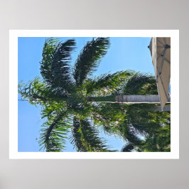 Póster Cartel de palmera
