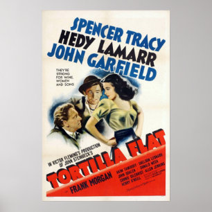 Póster Cartel de película plano de la tortilla