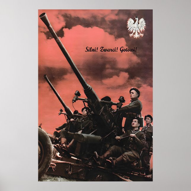 Póster Cartel de propaganda de la Fuerza Aérea Polaca en  (Frente)
