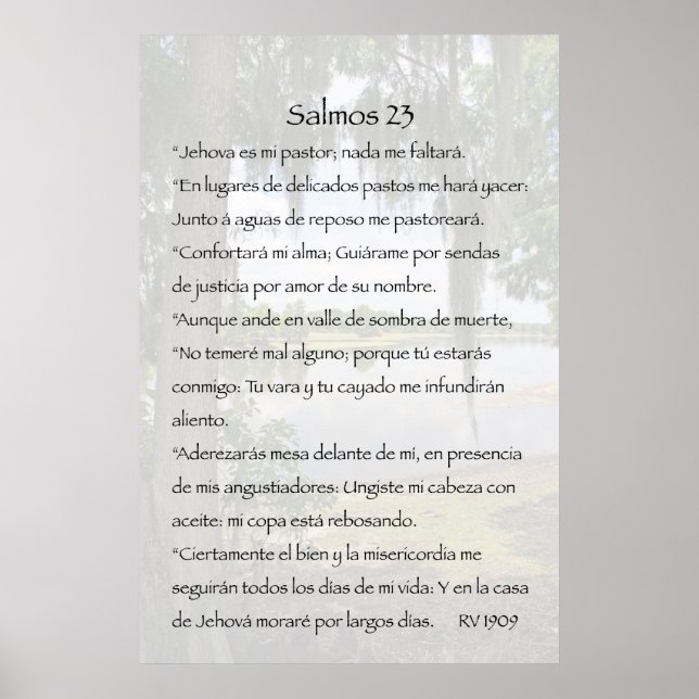 Póster Cártel de Salmos 23 (Frente)